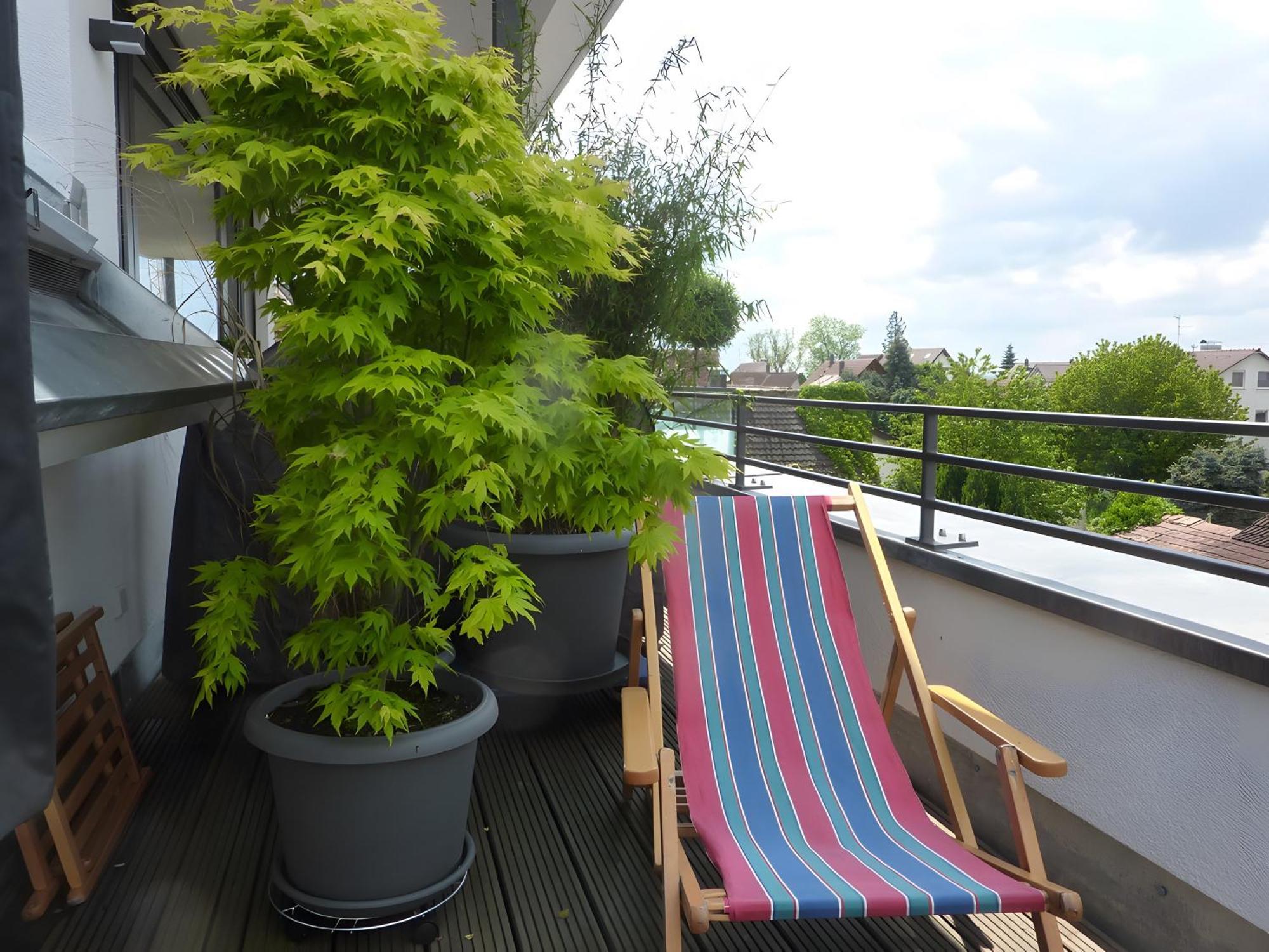 Kapps Haus Daire Langenargen Dış mekan fotoğraf